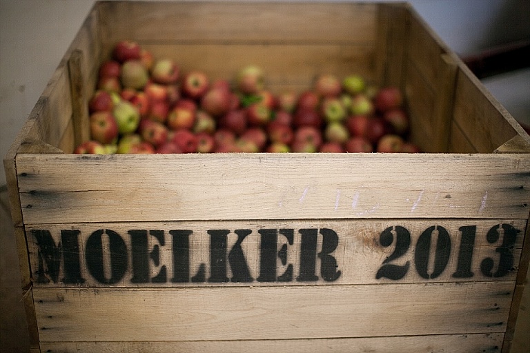 fallengagementphotography_zeelandmi69