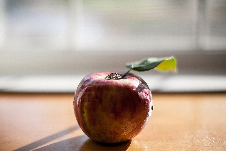 fallengagementphotography_zeelandmi70