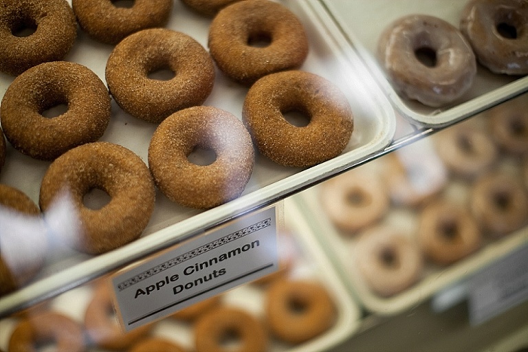 fallengagementphotography_zeelandmi77