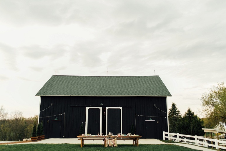 hydrangea blu barn