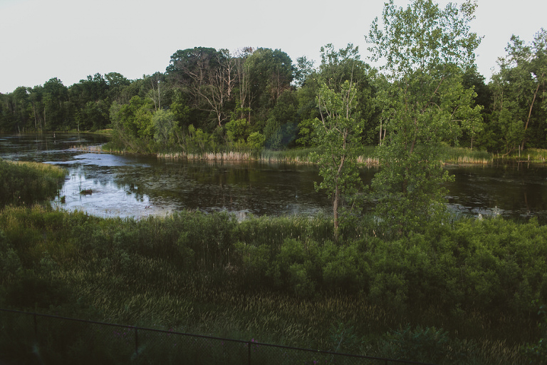 fredrick meijer gardens wedding photographer