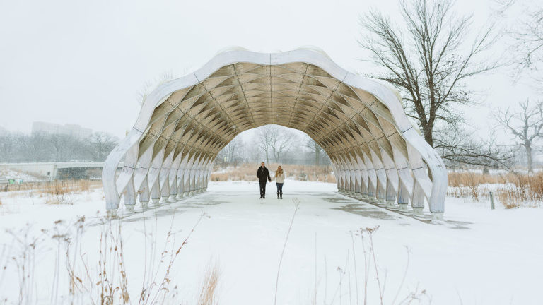 Lincoln Park Engagement 