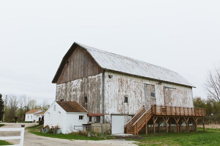 briar barns michigan